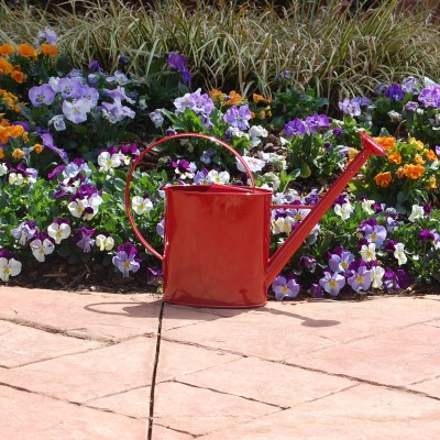 Austram 1 Gallon Metal Watering Can with Long Spout   